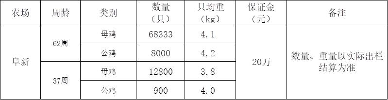 阜新云顶国际淘汰鸡.jpg